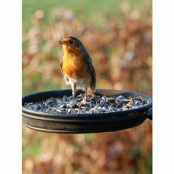 Vermont Country Store Bird Lovers 3-In-1 Bird Station Black