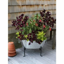 Vermont Country Store Embossed Oval Tub With Folding Stand Silver