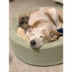 Vermont Country Store Soothing Sleeper Heated Walled Pet Bed Sage