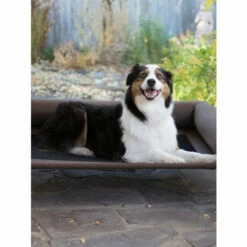 Vermont Country Store Posh Pet Cot With Bolster Chocolate