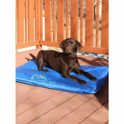 Vermont Country Store Chill Out Orthopedic Cooling Pet Bed, In 2 Sizes Blue