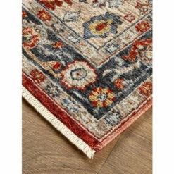 Castleton Traditional Medallion Area Rug Red