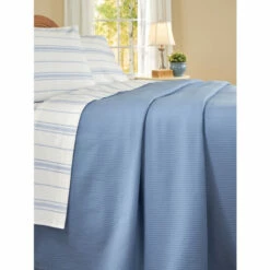 Dekko Silverfish Packets, Set Of 24